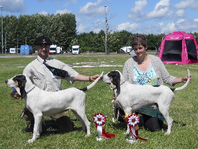 Du Coteau De La Versenne - world dog show 2010