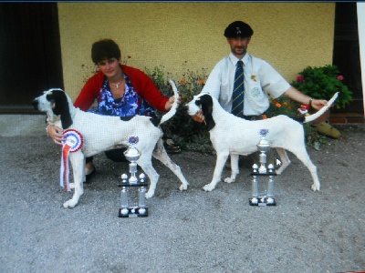 Du Coteau De La Versenne - Eurodogshow à LEEUWARDEN