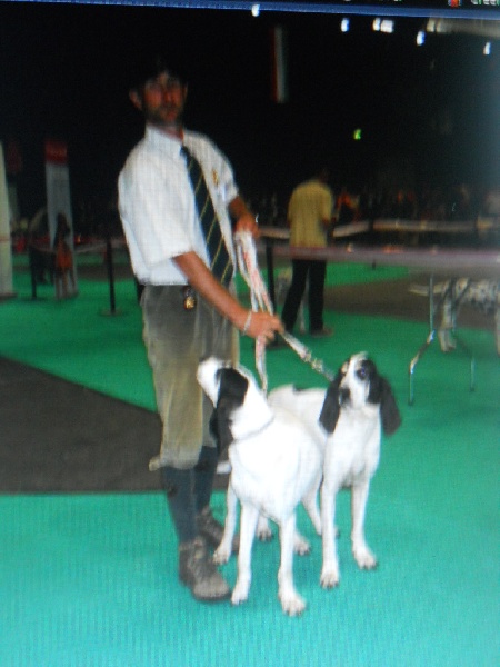 EURO DOG 2011