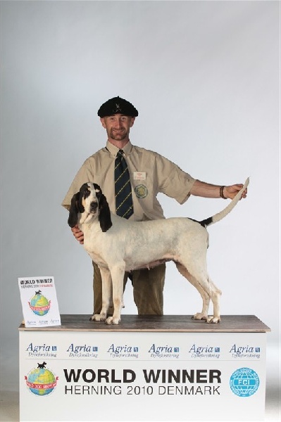 WORLD DOG SHOW 2010 HERNING DANEMARK
