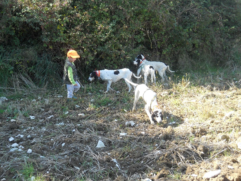 Le petit piqueux et son frère